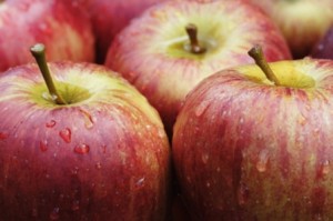 Apples Prime Candidates for this Recipe